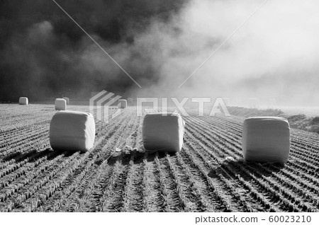 The autumn sun The autumn sun 60023210