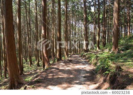 前往三見山(Sa玉縣日高市) 前往三見山(Sa玉縣日高市) 60023238