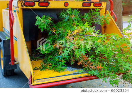 Poplar grinding machine to become chip 60023394