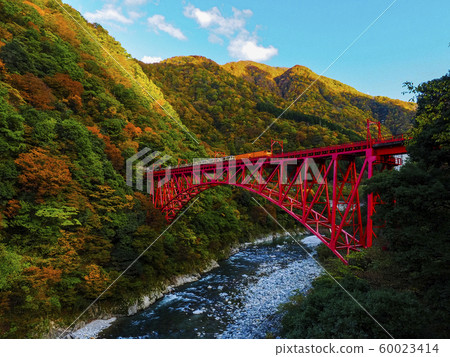 [富山]秋黑部峽谷新山彥橋秋葉和無軌電車 60023414