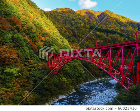 [富山]黑部峽谷新山彥橋的秋葉 60023416