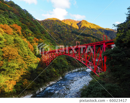 [富山]秋黑部峽谷新山彥橋秋葉和無軌電車 60023417