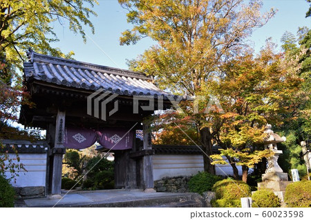 龍福寺秋葉 60023598