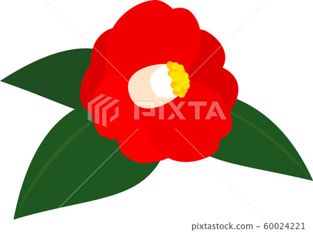 椿椿早春 椿椿早春 60024221