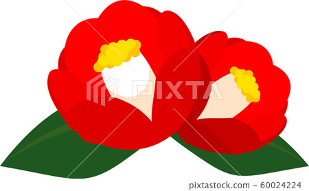 Tsubaki Tsubaki Early Spring 60024224