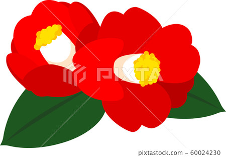Tsubaki Tsubaki Early Spring Tsubaki Tsubaki Early Spring 60024230