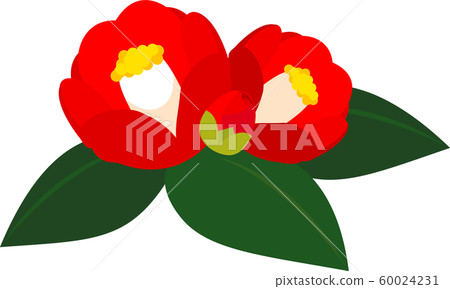 Tsubaki Tsubaki Early Spring Tsubaki Tsubaki Early Spring 60024231