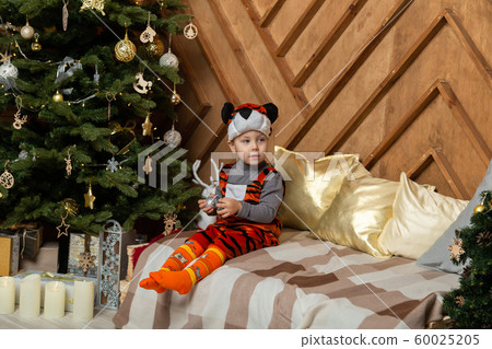 Beautiful happy boy in a suit in the New Year Beautiful happy boy in a suit in the New Year 60025205