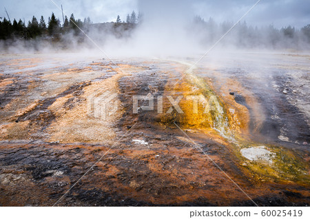 Geyser basin with boiling water from geothermal 60025419