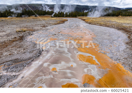 Geyser basin with boiling water from geothermal 60025421
