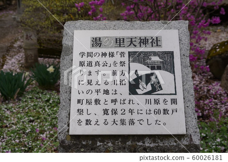 學術神Su川美智子 60026181