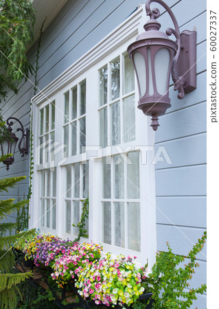 window and flower 60027337