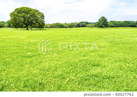 與綠色和藍天的風景 60027762