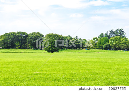 Landscape with green and blue sky 60027765