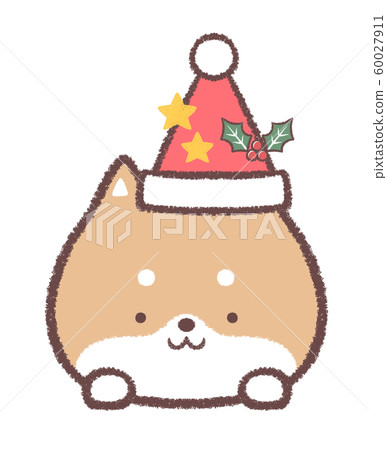 Shiba Inu December Christmas hat and stars and holly 60027911