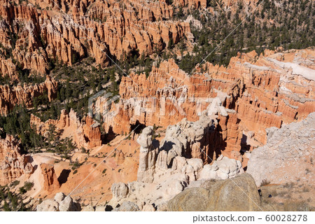 胡德布萊斯峽谷國家公園猶他州美國 胡德布萊斯峽谷國家公園猶他州美國 60028278