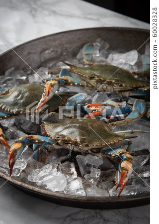 chesapeake blue crab on ice chesapeake blue crab on ice 60028328