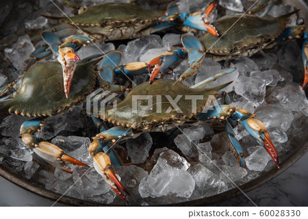 chesapeake blue crab on ice 60028330