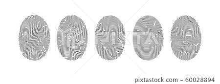 Set of fingerprint or thumbprint vector Set of fingerprint or thumbprint vector 60028894