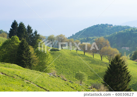 Spring mountain landscape, mount Grappa, Italy Spring mountain landscape, mount Grappa, Italy 60030627