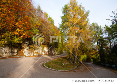 Hairpin bend with autumn landscape, tarmac road Hairpin bend with autumn landscape, tarmac road 60030638