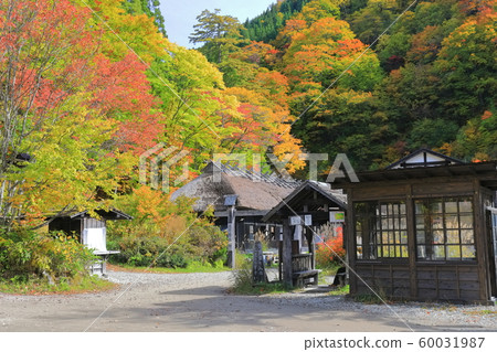[Akita] Autumn leaves nipple hot spring 60031987