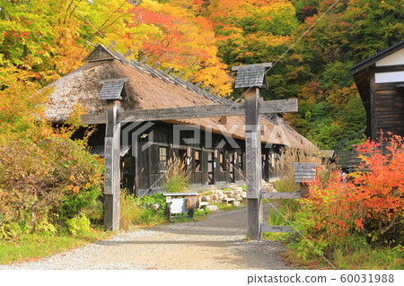 [Akita] Autumn leaves nipple hot spring 60031988