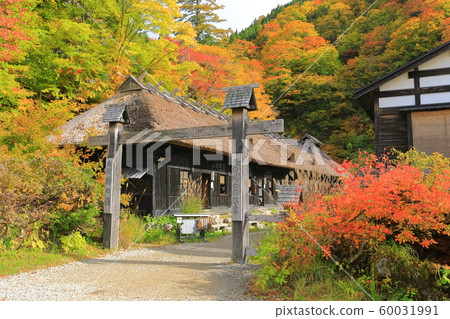 [Akita] Autumn leaves nipple hot spring 60031991