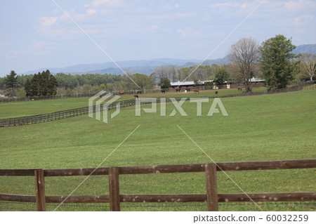 Horse Ranch_Farm 60032259