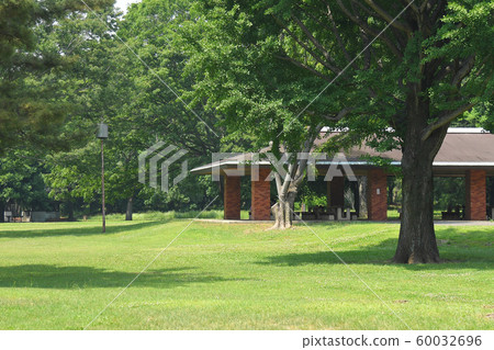 Kyoto Chofu City Koganei City Mitaka City Nogawa Park Kyoto Chofu City Koganei City Mitaka City Nogawa Park 60032696