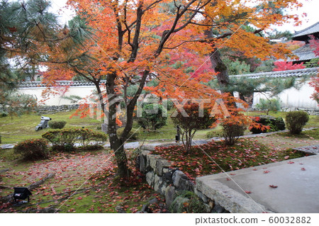 Rokuoin Rokuoin 60032882