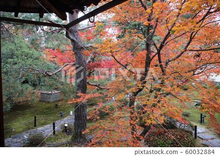 Shikaoin Shikaoin 60032884