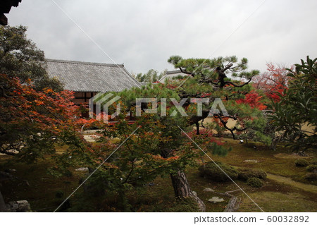 Rokuoin Rokuoin 60032892