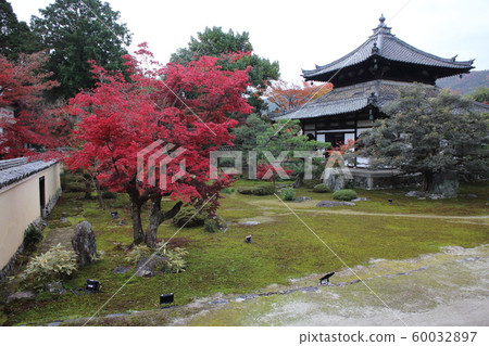 Shikaoin Shikaoin 60032897