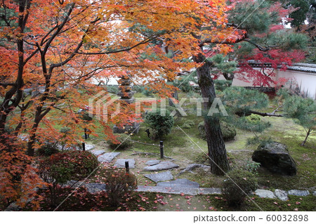 Rokuoin Rokuoin 60032898