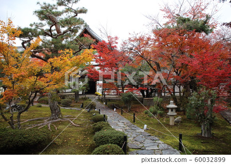 Rokuoin Rokuoin 60032899