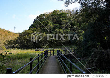 Wetlands (late autumn) 60033896