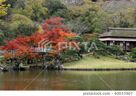 Genguen Garden of colored leaves 60033907