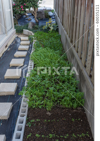 Home garden 60035211