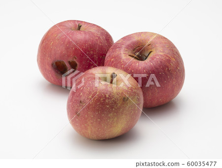 Apple with translation Apple with translation 60035477