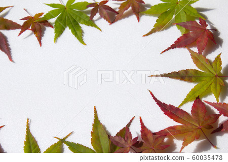 Maple leaf frame Maple leaf frame 60035478