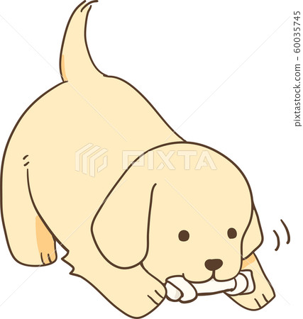 金毛小狗(口香糖) 金毛小狗(口香糖) 60035745