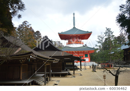 Scenery of the Danjou Temple (Koyasan Kingouji Temple / Wakayama Prefecture Ito-gun Koya-cho Koyasan) Scenery of the Danjou Temple (Koyasan Kingouji Temple / Wakayama Prefecture Ito-gun Koya-cho Koyasan) 60036462
