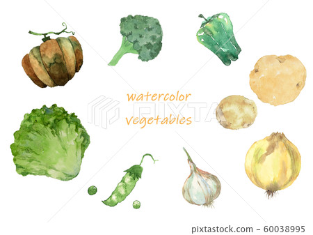 Western vegetable watercolor 60038995