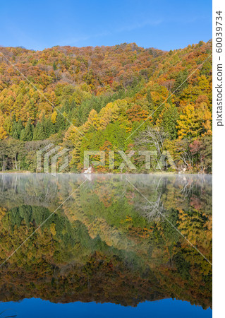 Autumn Nakatsuna lake [morning scenery] 60039734