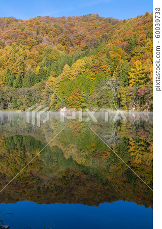 Autumn Nakatsuna lake [morning scenery] 60039738