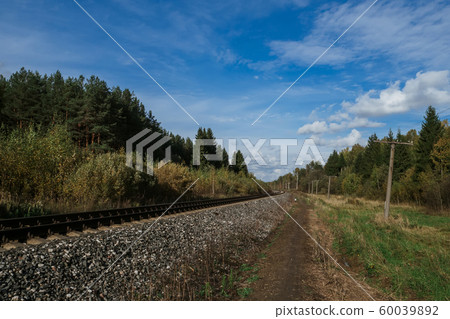Railway among the forest under the blue sky Railway among the forest under the blue sky 60039892