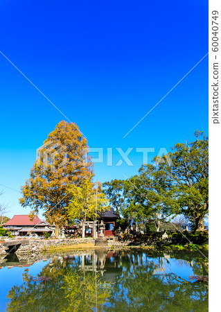 Seinoike的秋天景色[佐賀縣柏島郡白石町] 60040749
