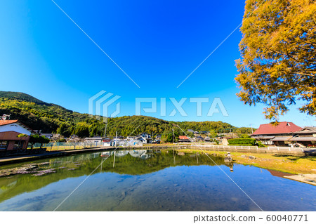Seinoike的秋天景色[佐賀縣柏島郡白石町] 60040771