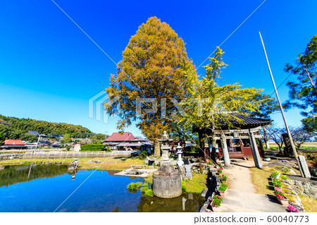 Seinoike的秋天景色[佐賀縣柏島郡白石町] 60040773